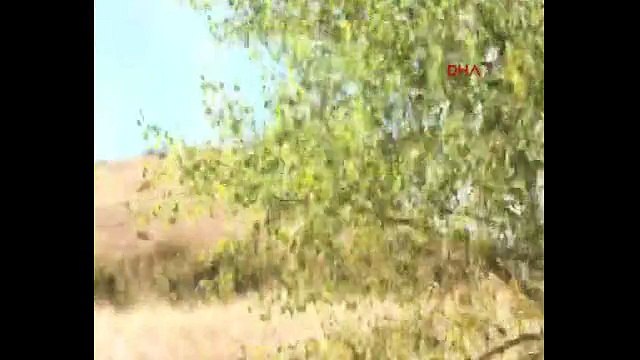 Ankara Kızılcahamam'da korkutan yangın!