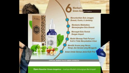 Penumbuh Jenggot Penumbuh Brewok dan Kumis Green Angelica Beard Serum