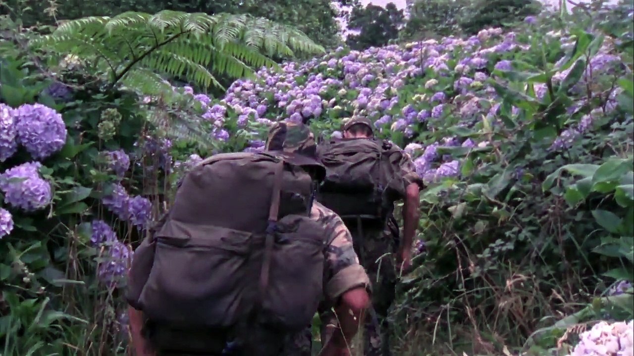 FLORES Trailer | TIFF 2017