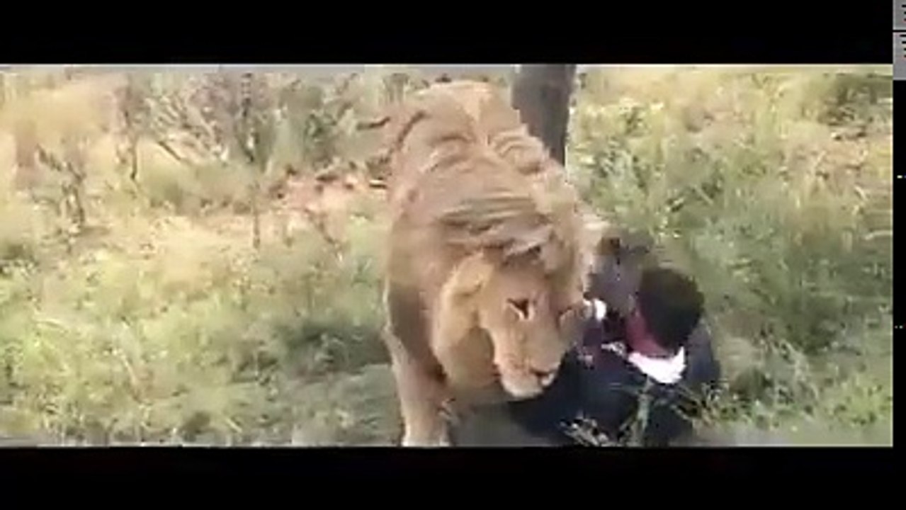 funny video