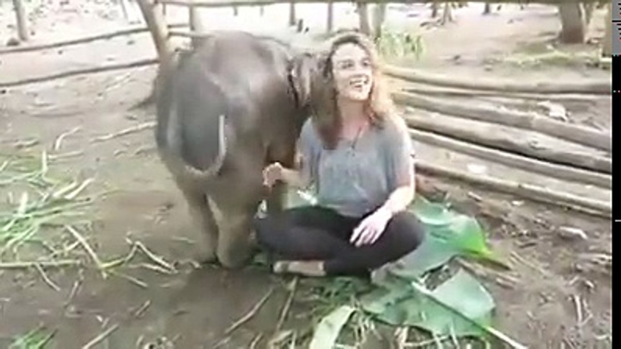 funny video