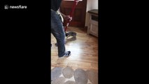 Puppy sabotages owners attempts at mopping floor