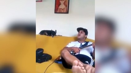 Un chien chante avec son maître !