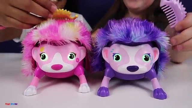 NEW Zoomer Hedgiez Dizzy Whirl Toy Opening Hedgiez Race Challenges Kids Toy Review