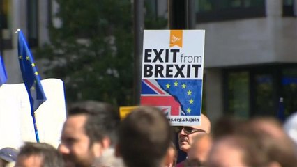 Manifestation anti-Brexit à Londres