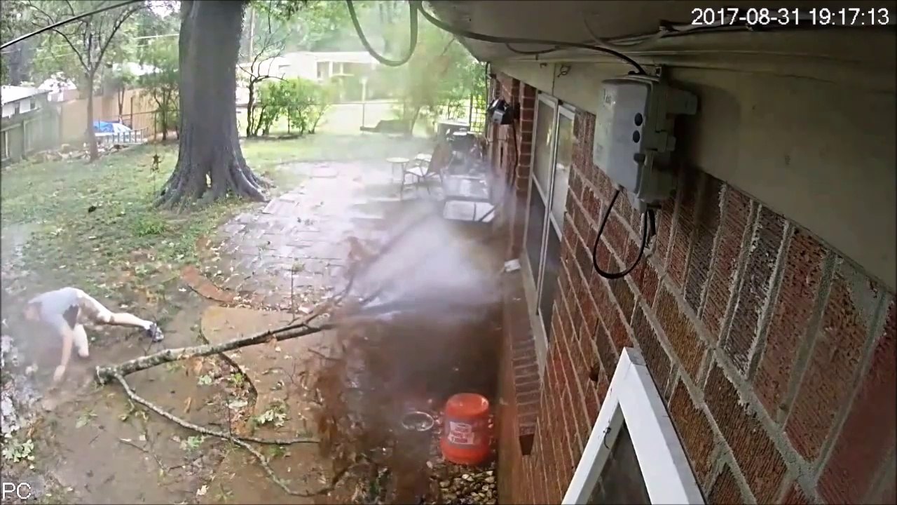 Ce gars échappe de justesse à la chute d'une branche !