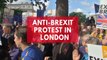Anti-Brexit protest in London ahead of EU law vote