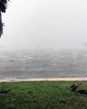 Florida eyaleti 'Irma Kasırgası' için alarmda