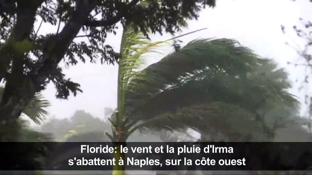 Floride: le vent et la pluie d'Irma s'abattent sur la côte ouest