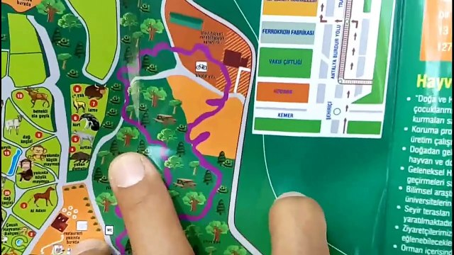 Antalya Hayvanat bahçesi gezintimiz. . Çok büyük ve modern bir hayvanat bahçesi Zoopark Antalya