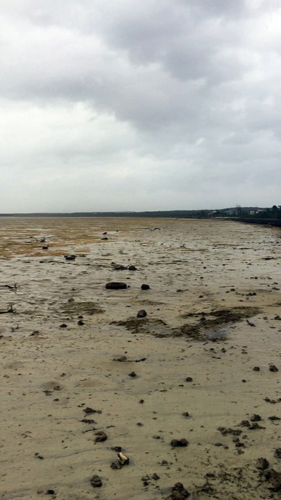 Dried Up Beach in the Bahamas