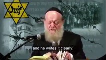 5 JÜDISCHER RABBI - JUDEN SIND MITSCHULD