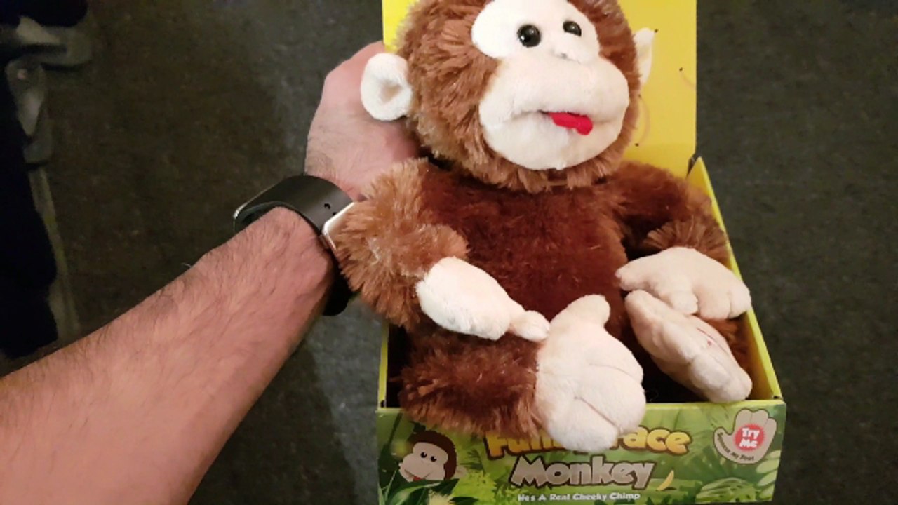 funny face monkey toy