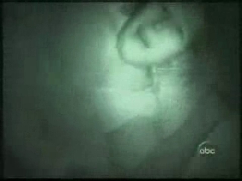 Scarey Moments