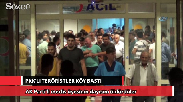 PKK'lı teröristler köy bastı
