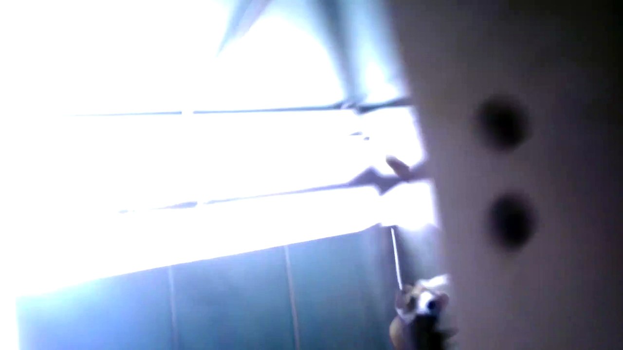 "Areias" has a cone, still happy though!