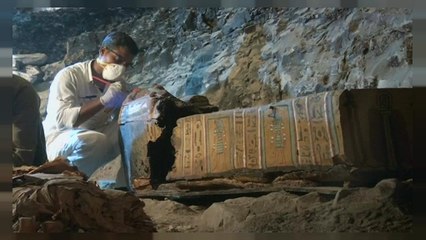 Découverte de momies en Egypte