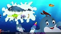 Blue Whale Nursery Rhyme  ChuChuTV Sea World  Animal Songs & Nursery Rhymes For Children ,cartoons animated anime Tv series 2018 movies action comedy Fullhd season  - 1