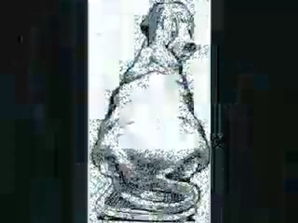 Lose Weight: Portly Pup Diet Plan