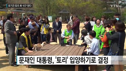 토리, 청와대 식구 된다...세계 최초 유기견 '퍼스트 독' / YTN