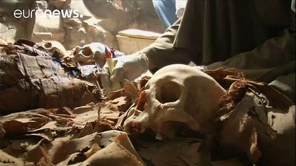 Mısır'da 3 bin 500 yıllık mezar keşfedildi