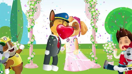 CAPTAIN CHASE  Saved his friend from UFO   PAW Patrol - Episode 12   Cartoon for Kids