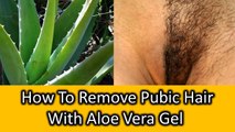 Remove Unwanted Hair From Your Private Parts Naturally 1 Painless Ingredient | Hair removal Option i