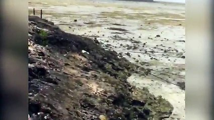 Rare phenomenon sucks water from Bahamas beach