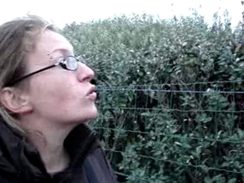 Docu-string