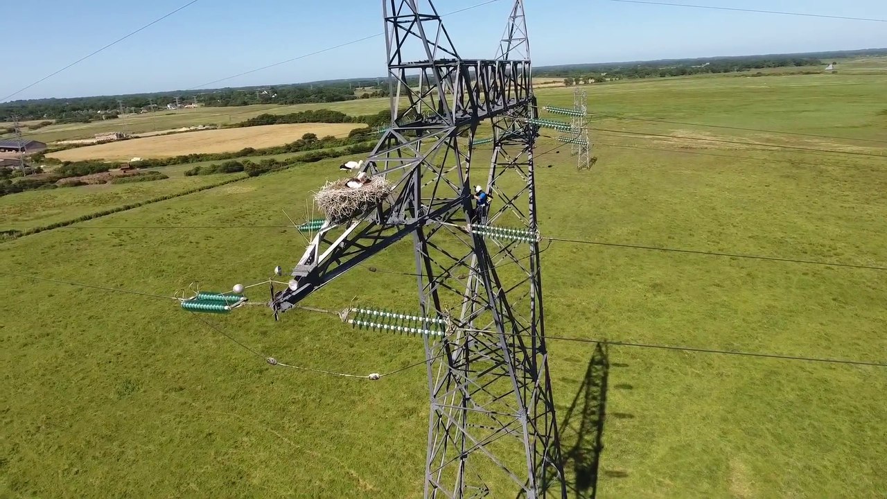 Trignac: Les Cigognes de RTE - Nantes Bretagne Télé