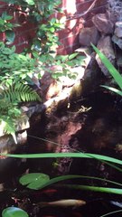 trim.EFFEDCEF-16F0-4923-8411-208CEC26B5FD