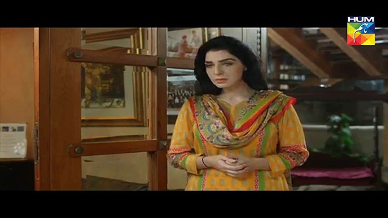Woh Aik Pal Episode 25 HUM TV Drama - 9 September 2017