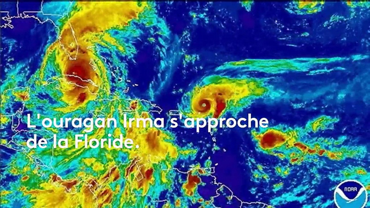 Les rafales de l'ouragan Irma balayent les côtes de la Floride