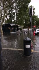 PONTE MILVIO - Maltempo a Roma