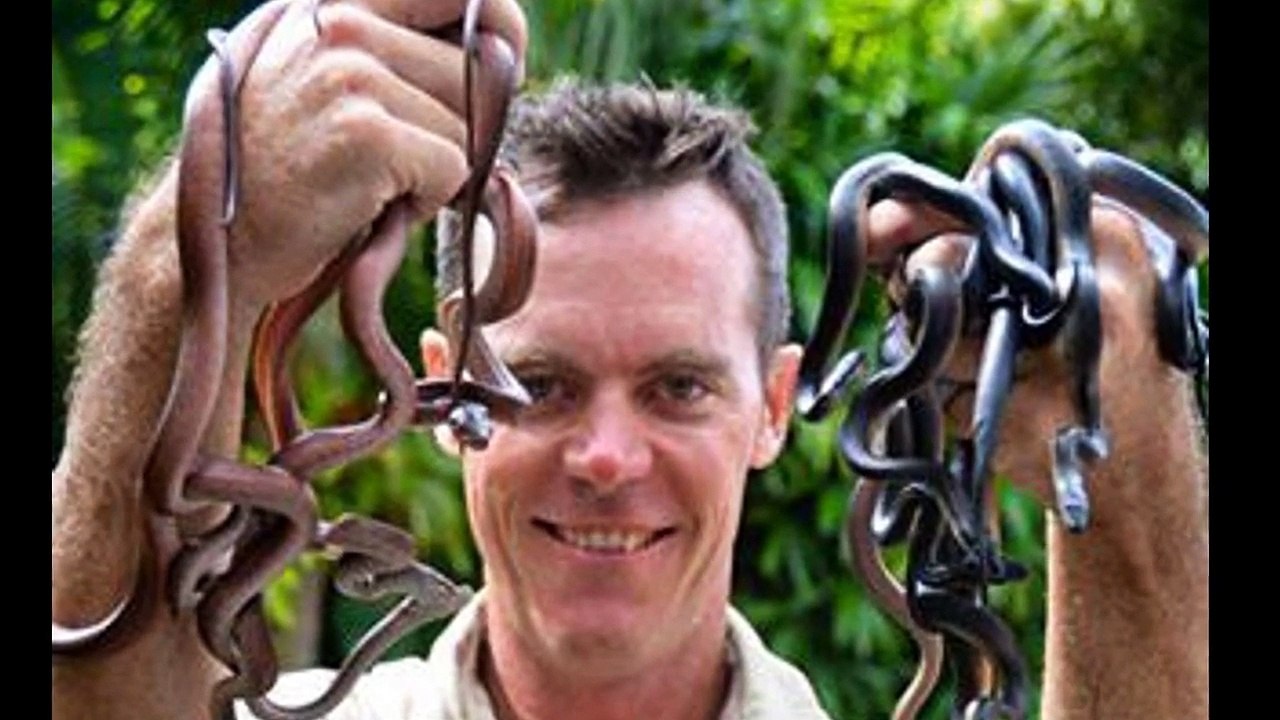 एक सांप ने खुद को काट कर की आत्महत्या, कारण जानकार चौक जाओगे आप