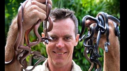 एक सांप ने खुद को काट कर की आत्महत्या, कारण जानकार चौक जाओगे आप