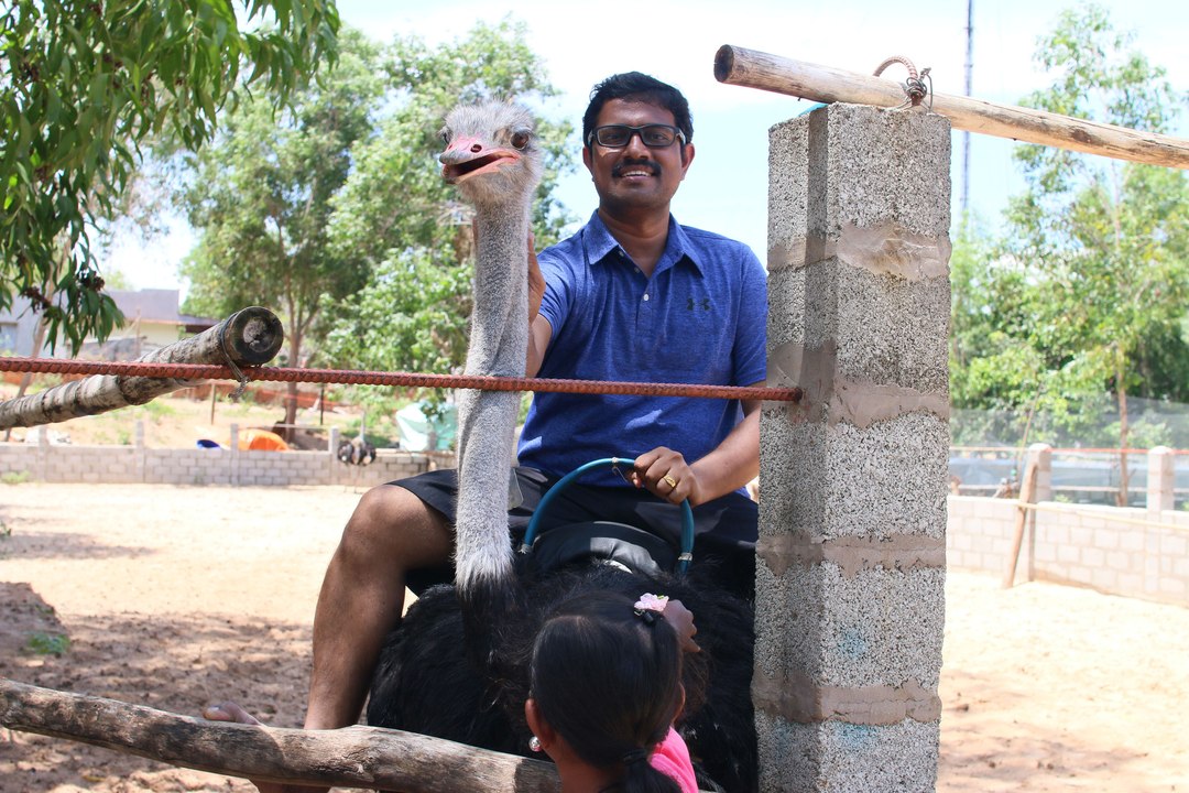 Ostrich Ride Mui ne Vietnam