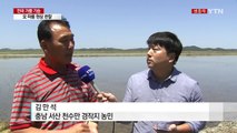 극심한 가뭄에 죽어가는 천수만 농경지 / YTN