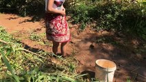 Primitive girl Catch fish by Hand How to catch fish traditional style