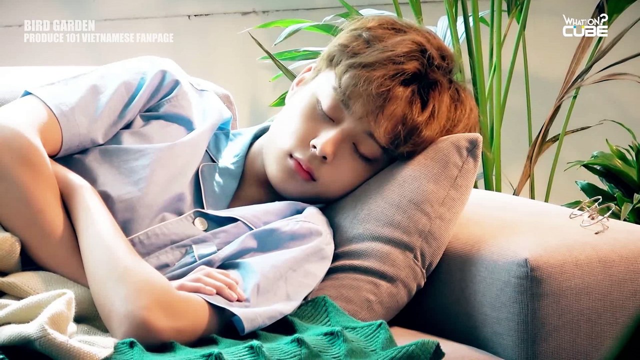 [VIETSUB] YOO SEONHO - PET BTS