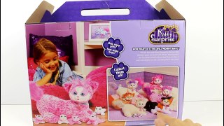 Kitty Surprise Sassy and Her Kittens Unboxing Review