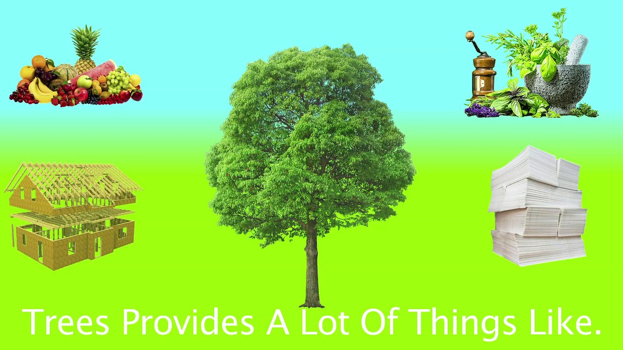 save trees promo