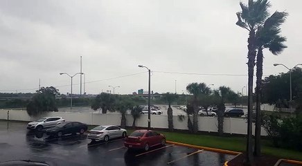 Flórida pré-furacão Irma