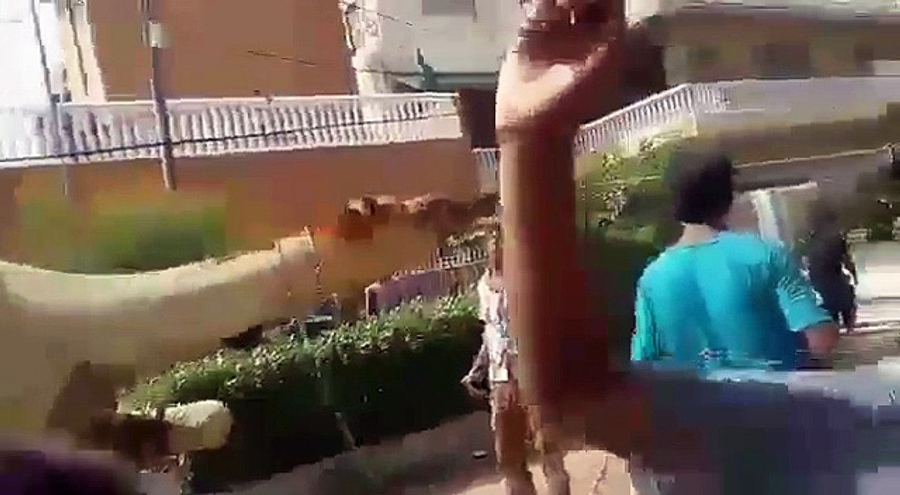 Tour Karachi | Pakistan |Sacrifice Of Camel - Bakra Eid 2017 - Eid ul Azha - Part 1