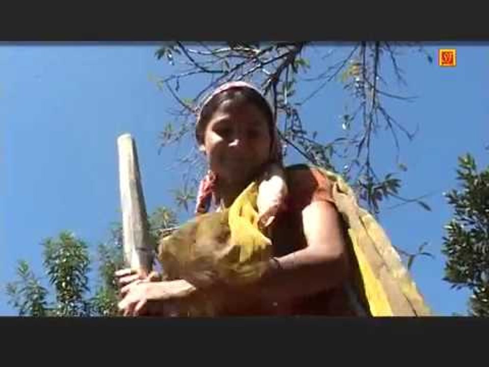 इस विडियो को देखे Latest Garhwali Kanu Bhalu Singer  Kamal Kishor sati