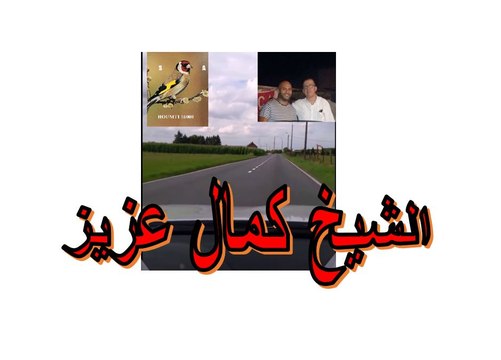 Algérie Kamel Aziz 2017 بزاف خلوي. تحويسه مع كمال عزيز في بلاد الغربة