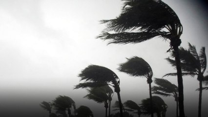 Yıkıcı Irma Kasırgası Florida kıyılarında