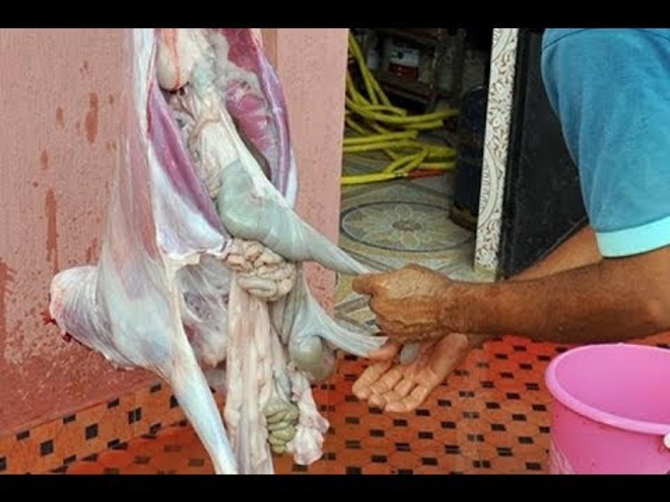 ما هي أسباب فضيحة تعفن لحوم دبيحة عيد الاضحى؟‬