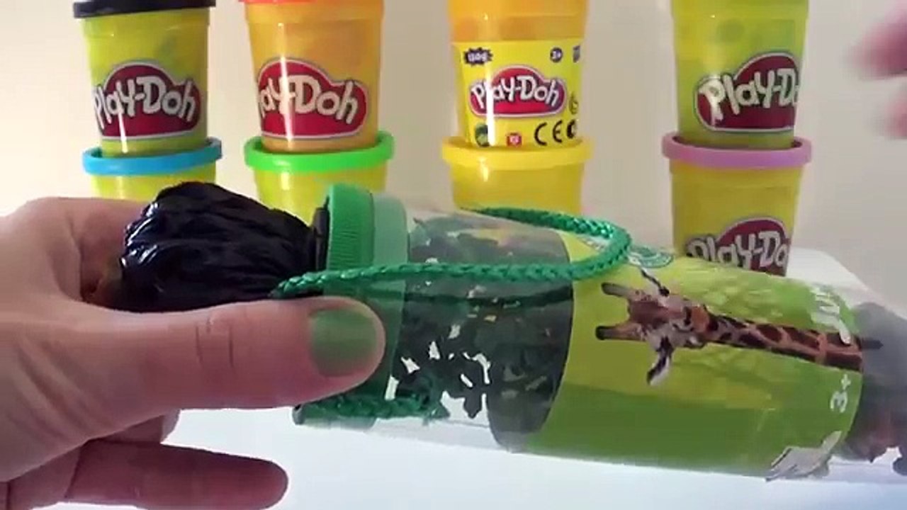 Chiot dans mon poche