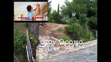 φωτισμος σε κηπο